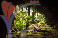 Cave Entrance in Niah National Park, Niah Cave in Sarawak Malaysia