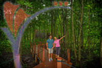 Matang Mangrove