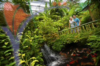 Kuala Lumpur Bird Park - Kuala Lumpur