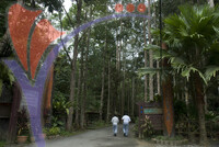 Sungai Congkak Recreational Forest