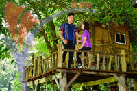 Tasik Pedu