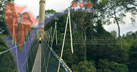 Kuala Koh