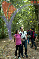 Nature Park