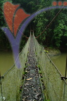 Danum Valley