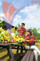 Fruit Farm