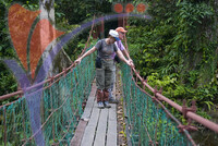 Danum Valley