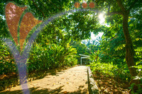 Taman Botani (botanical Garden)