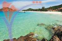 Coral Redang