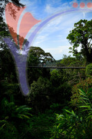 The Habitat