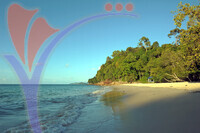 Pantai Pasir Tengkorak