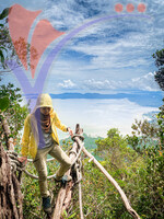 Gunung Santubong