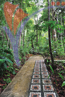 Pulau Herba Tasik Kenyir
