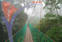 Danum Valley