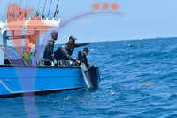 The Royal Pahang Billfish International Challenge