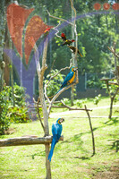 Melaka Bird's Park - Melaka
