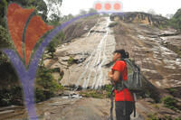 Gunung Stong