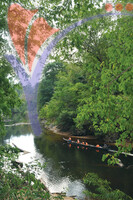 Kuala Koh