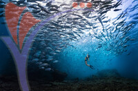 Sipadan
