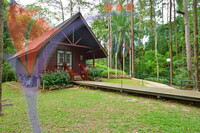 War Memorial