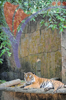 Melaka Zoo