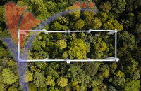 Forest Skywalk