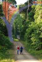 Danum Valley