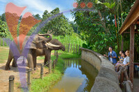 Lok Kawi Zoo
