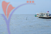 The Royal Pahang Billfish International Challenge