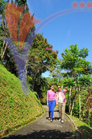Penang Hill