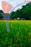 Kampung Ujung Bukit , Perlis