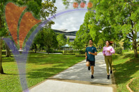 Jogging At Taman Seri Empangan Putrajaya