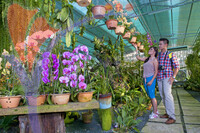 Orchid Garden