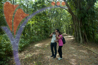 Nature Park