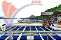 Oyster Farm
