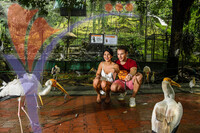 Kuala Lumpur Bird Park, Kl
