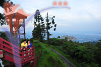 Bukit Larut - Taiping - Perak