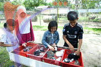 Rabbit Farm