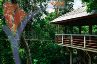 Canopy Walk Guar Chenderai , Perlis
