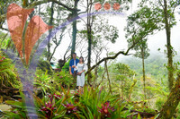 The Jerai Hill