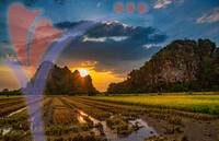 Bukit Kalong