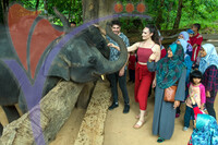 Kenyir Elephant Village Terengganu