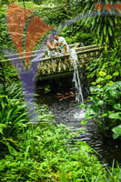 Kuala Lumpur Butterfly Park
