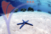 Mataking Island - Sabah