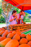 Harum Manis , Perlis