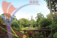 Botanical Garden