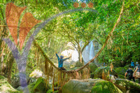 Susung Waterfall - Jurassic Wold Waterfall