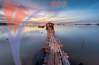 Clan Jetty
