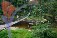 Kenyir, Terengganu