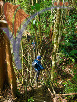 Bengoh Dam Scenery, Boat Riding And Nature Hiking