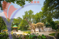 Zoo Negara (natinal Zoo) - Kuala Lumpur